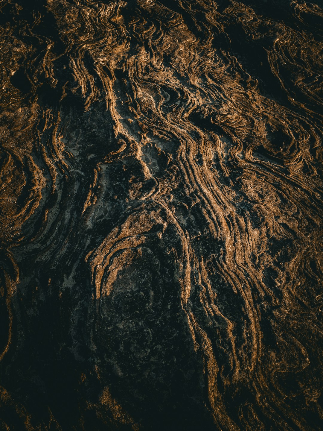a close up of a brown and black surface