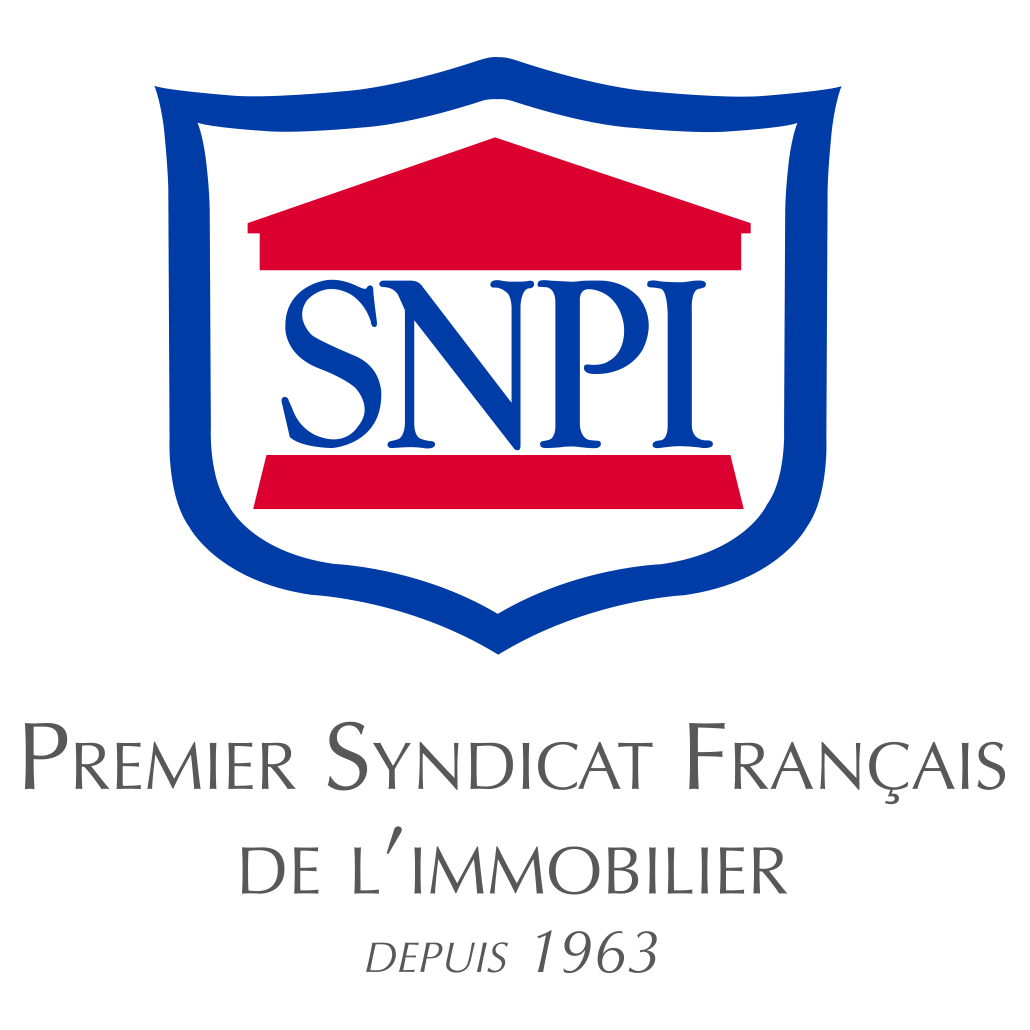 Logo SNPI Licence Immobilier